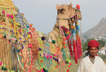 Pushkar Camel Fair