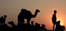 Pushkar Tour