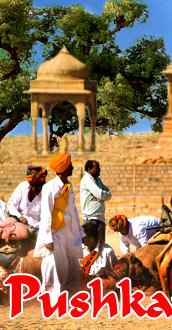 Pushkar Fair India